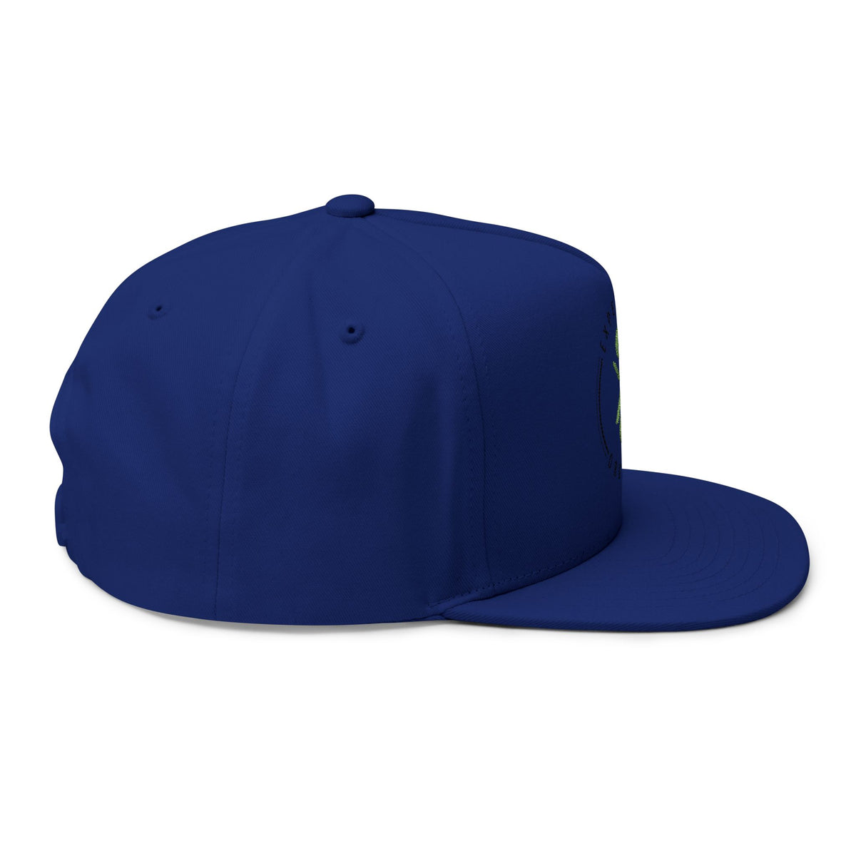Experience Organics Flat Bill Cap