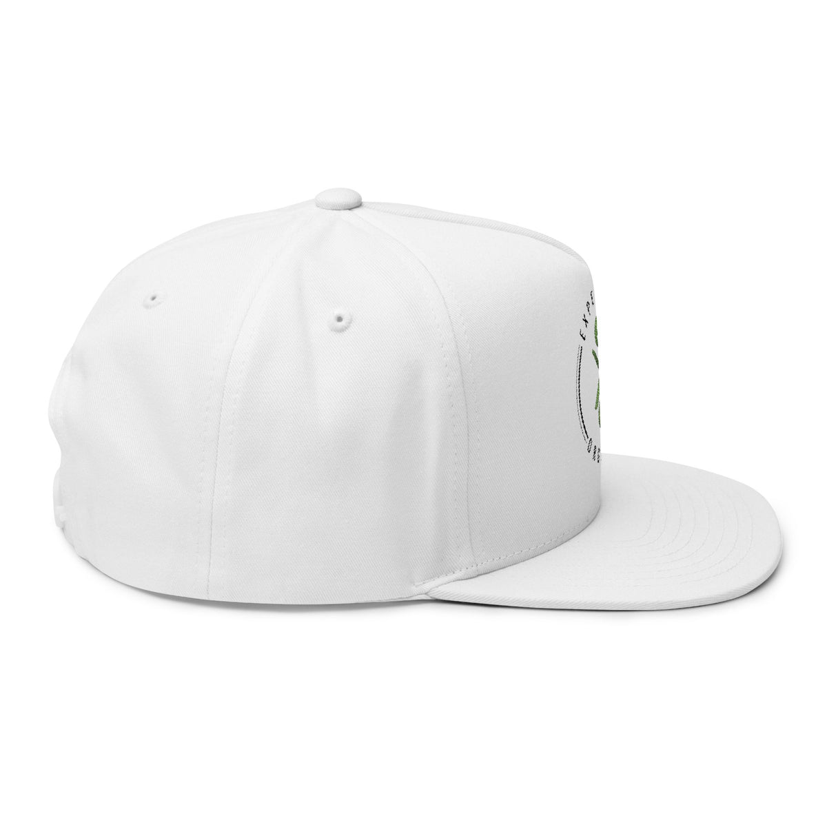 Experience Organics Flat Bill Cap