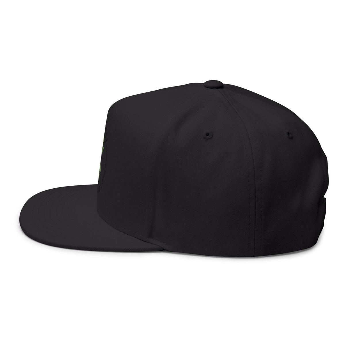 Experience Organics Flat Bill Cap