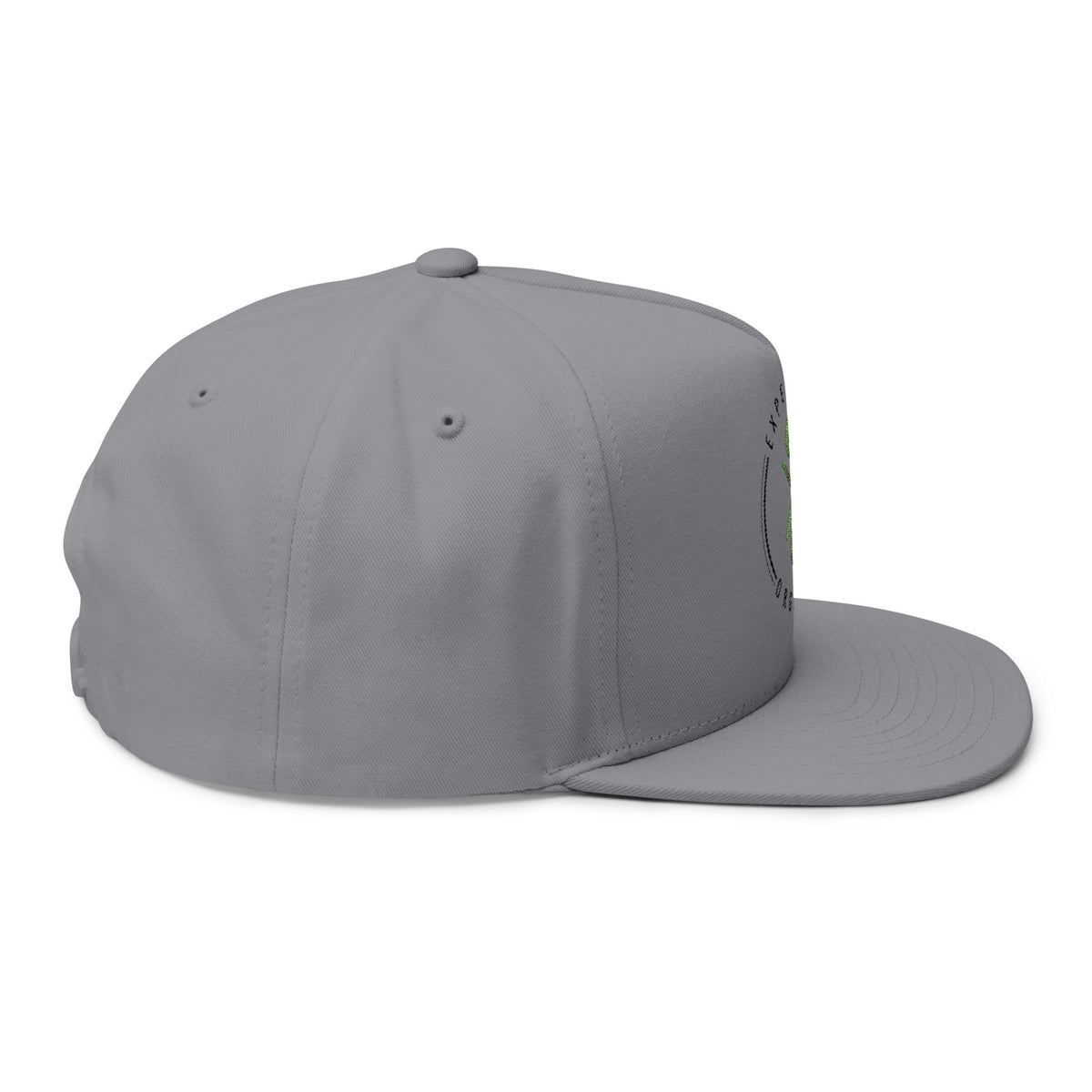 Experience Organics Flat Bill Cap
