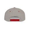 DeSaus  Embroidered Flat Bill Snapback Hat