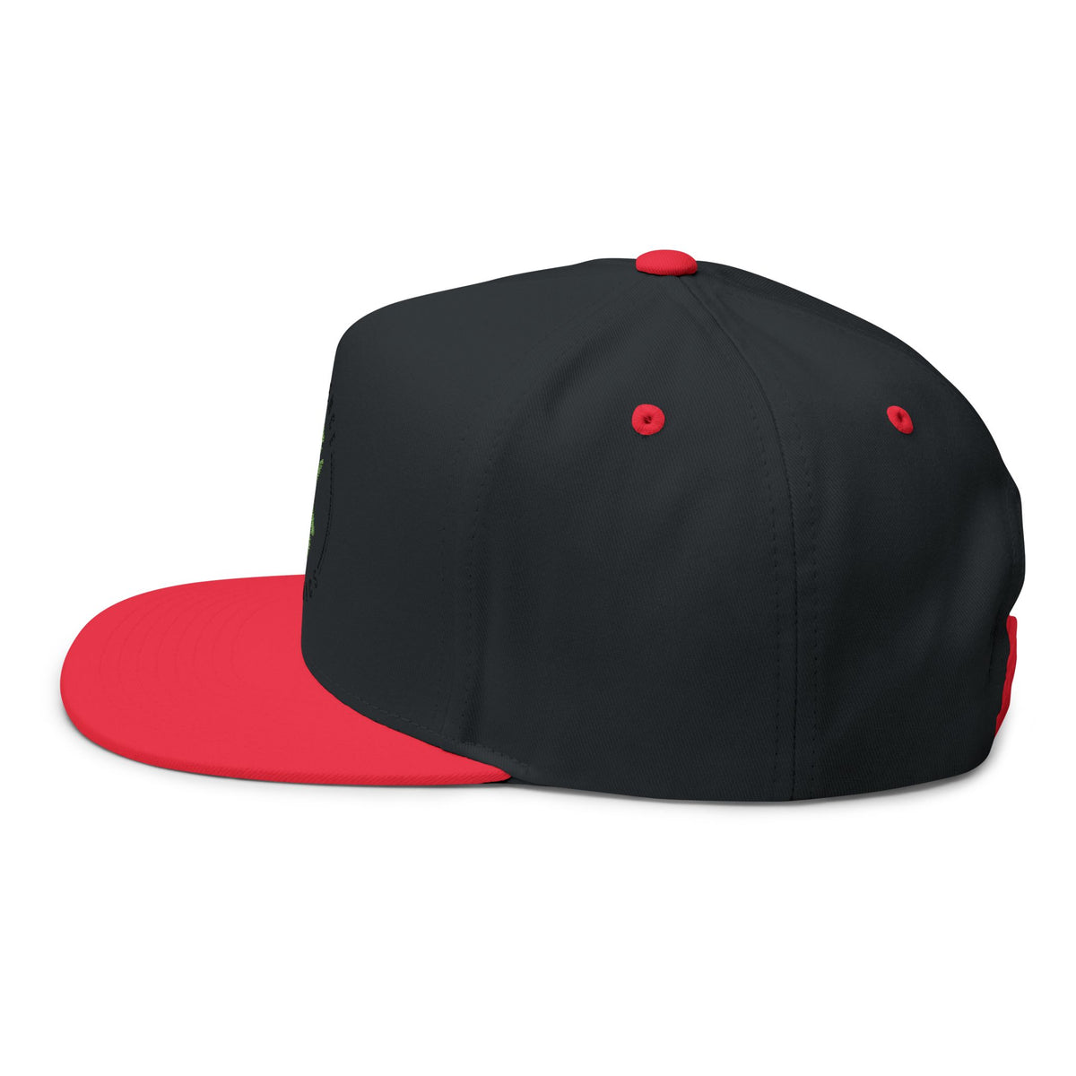 Experience Organics Flat Bill Cap