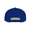 DeSaus  Embroidered Flat Bill Snapback Hat