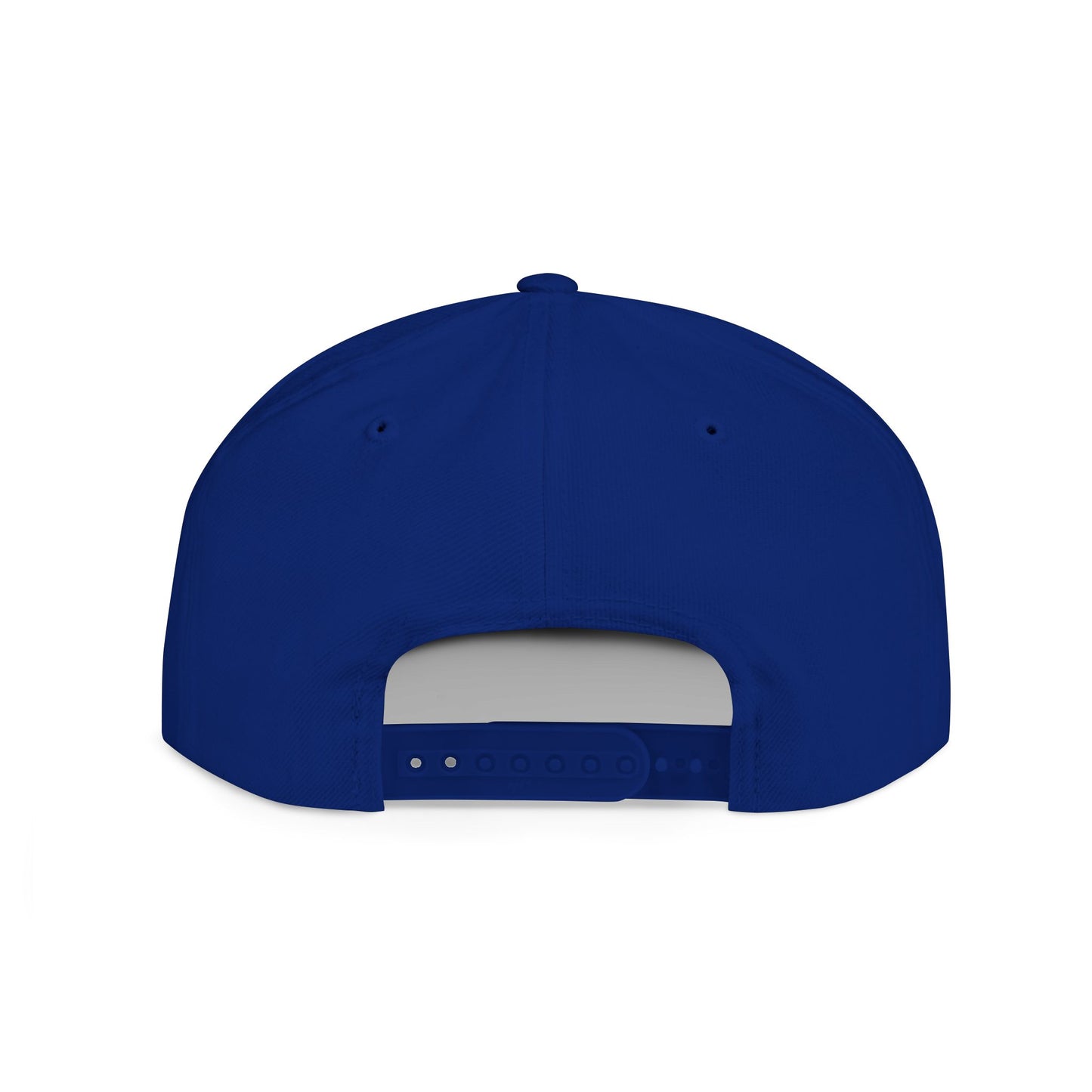 DeSaus  Embroidered Flat Bill Snapback Hat