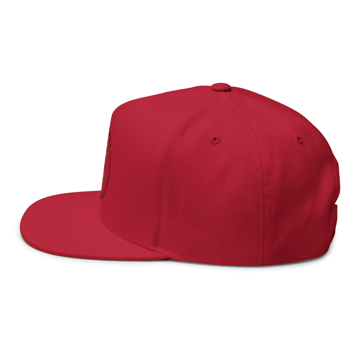 Experience Organics Flat Bill Cap