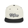 DeSaus  Embroidered Flat Bill Snapback Hat