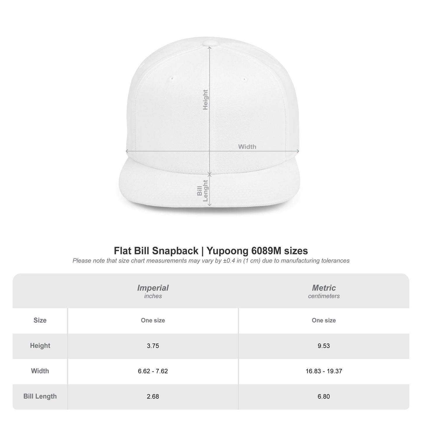 DeSaus  Embroidered Flat Bill Snapback Hat