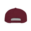 DeSaus  Embroidered Flat Bill Snapback Hat