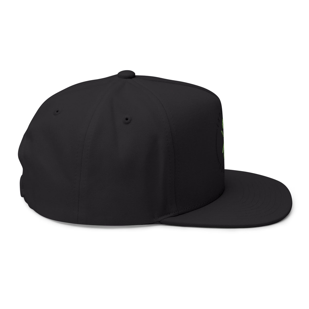 Experience Organics Flat Bill Cap