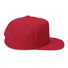 Experience Organics Flat Bill Cap