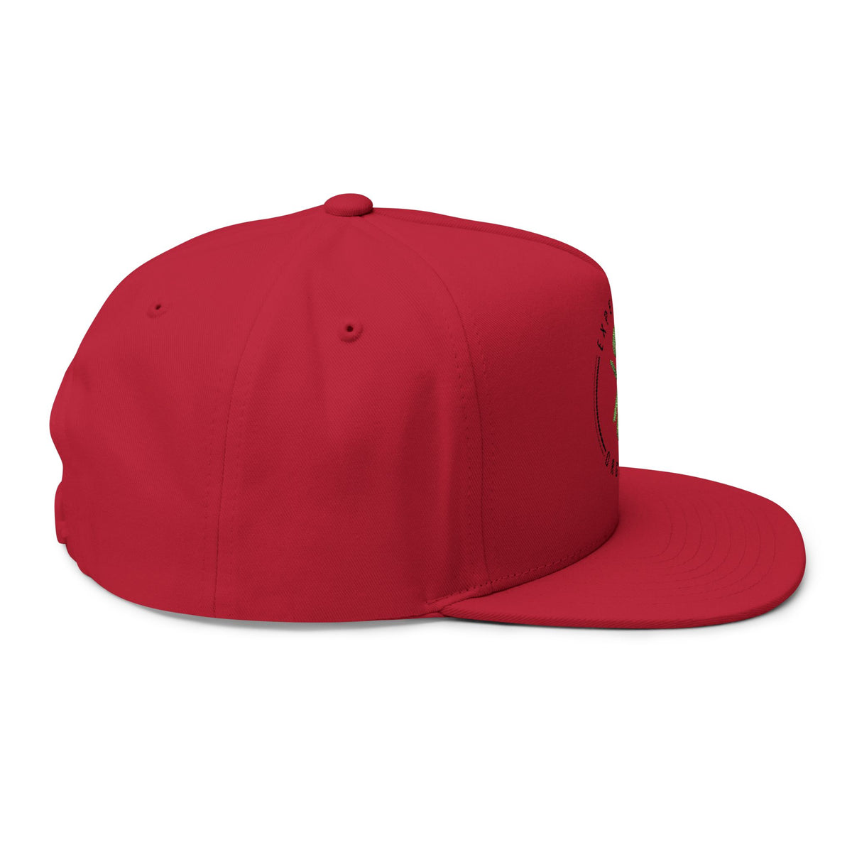 Experience Organics Flat Bill Cap