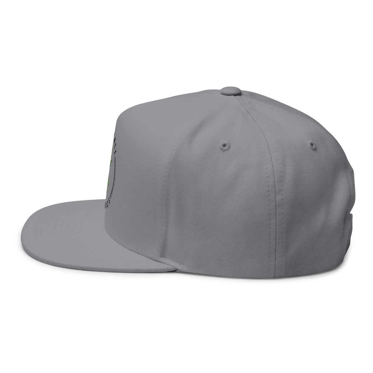 Experience Organics Flat Bill Cap