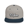 DeSaus  Embroidered Flat Bill Snapback Hat