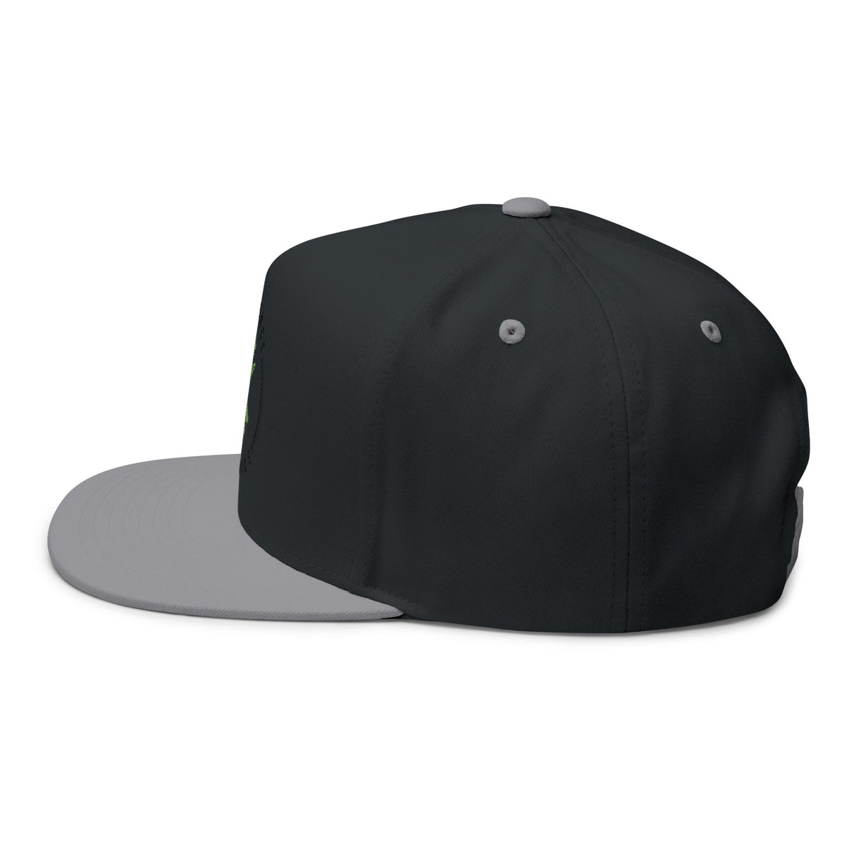 Experience Organics Flat Bill Cap
