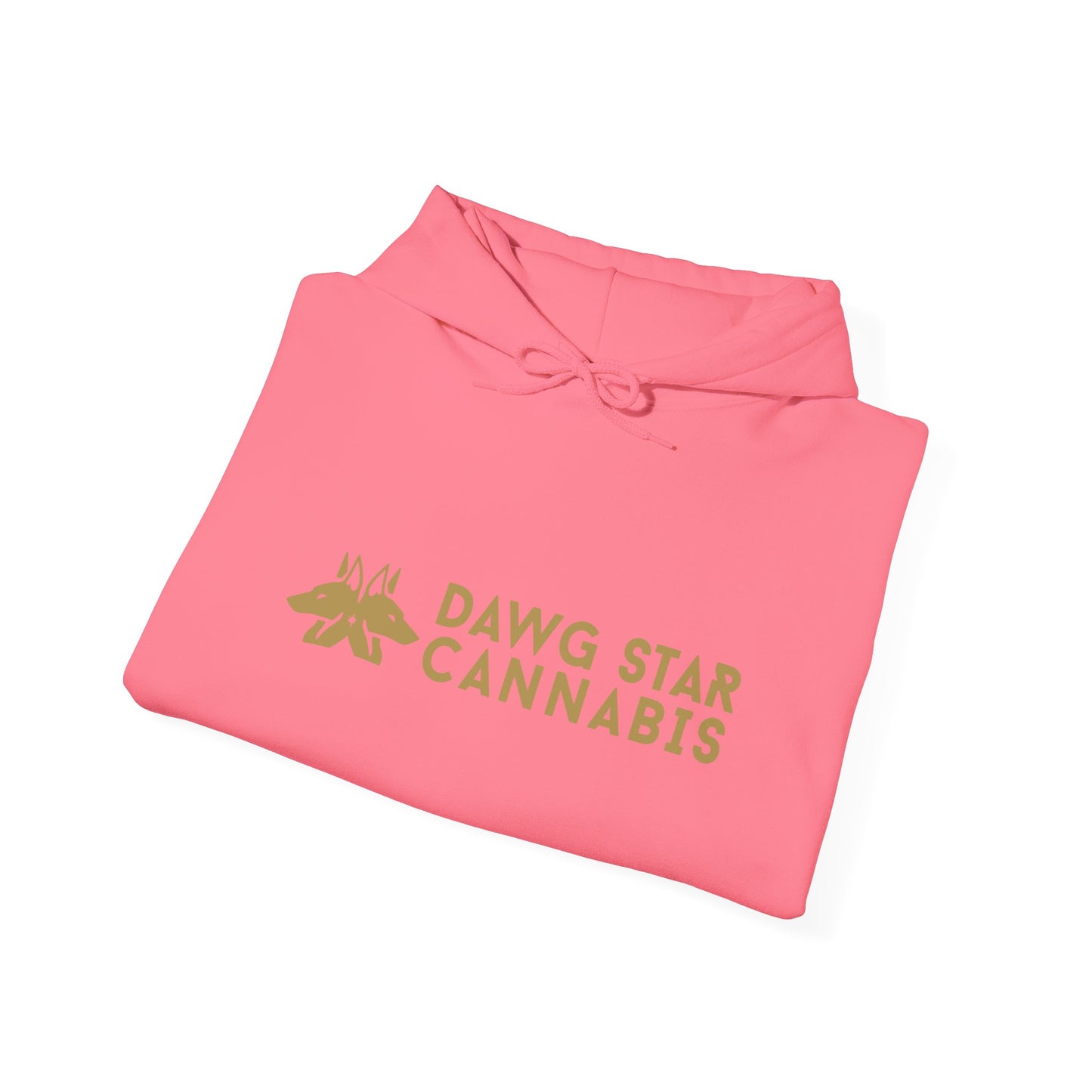 Dawg Star Hoodie