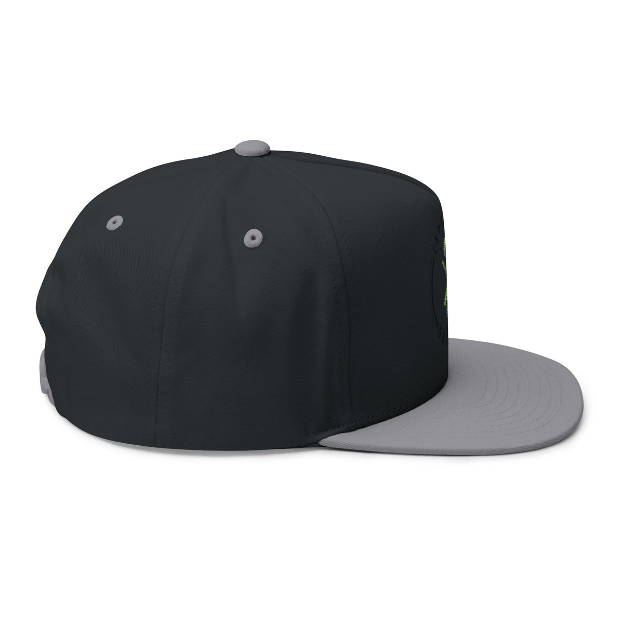 Experience Organics Flat Bill Cap