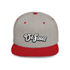 DeSaus  Embroidered Flat Bill Snapback Hat
